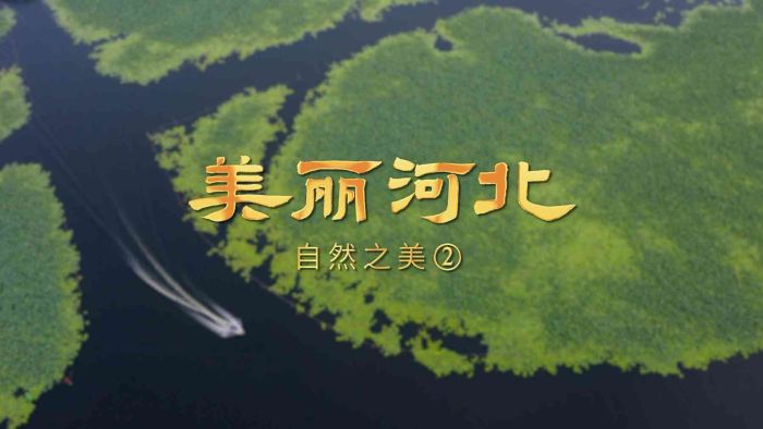 �������ӱ���ϵ�ж���Ƶح��Ӱƪ��Ȼ֮����