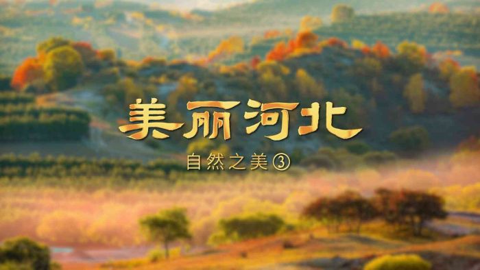 �������ӱ���ϵ�ж���Ƶح��Ӱƪ��Ȼ֮����