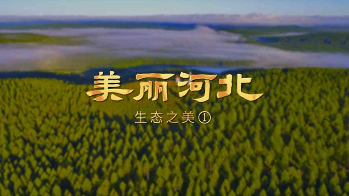 �������ӱ���ϵ�ж���Ƶح��Ӱƪ��̬֮����