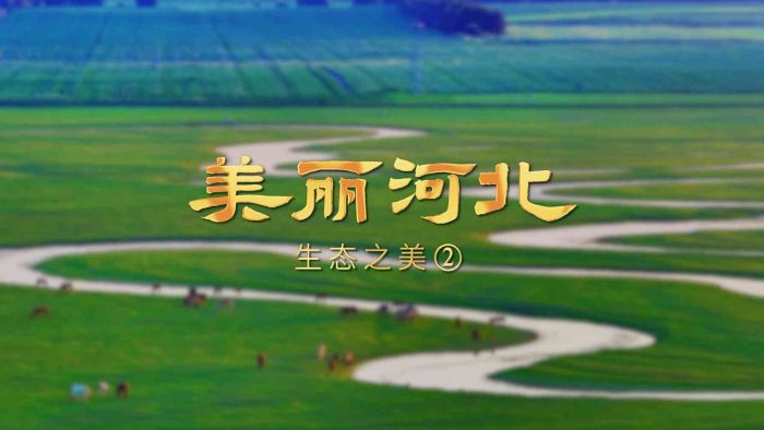 �������ӱ���ϵ�ж���Ƶح��Ӱƪ��̬֮����