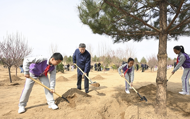 ϰ��ƽ�ڲμ��׶�����ֲ���ʱǿ�� Ϊɽ������������� ���й�ʽ�ִ�����ɫ��������