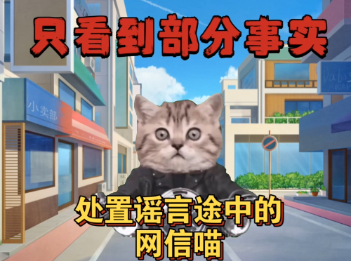 �Բ����벻���� �����������ҥ�������������Ű졿