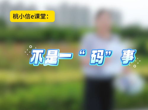 ����һ���롱�¡���ˮ�����Ű졿