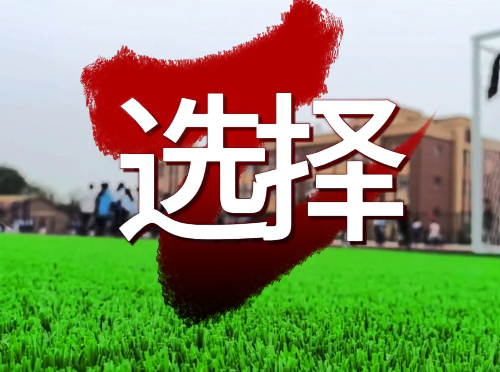 ѡ��