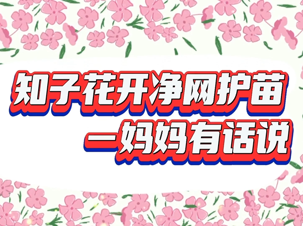 ��֪�ӻ������������硪�������л�˵